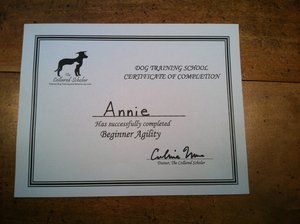 Annie's well-deserved diploma