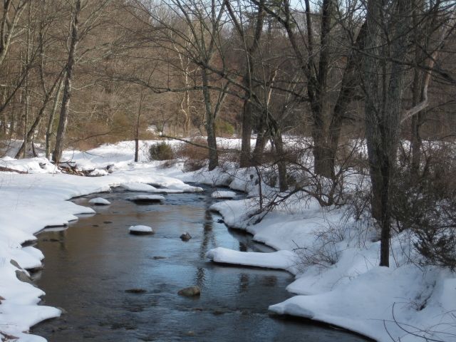 WINTER:BROOK