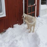 JAMES AT DOOR