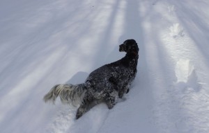 Lily blazes some trails of her own.