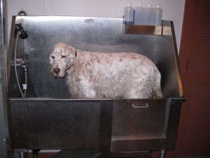 James in the dog tub.