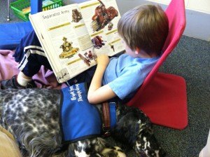 Lily listens while a second grader reads a Star Wars book.