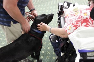 Handsome Louie charms a nursing home resident during his evaluation.