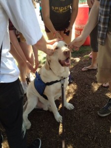 Therapy Dog Haas loves all the attention from students.