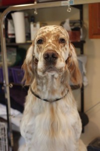 King offers a smile as he poses for a photo post spa  treatment