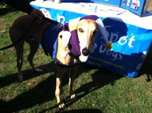 Max modeling his fabulous "jester" cap