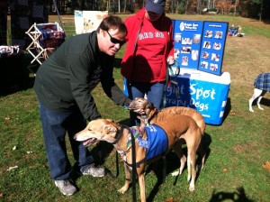 Bright Spot Max wearing his official therapy dog vest