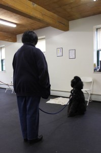 Susan and Shadow working on the long sit command in class.