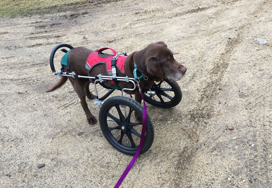 Coco:Wheels