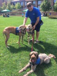 Bright Spot Oscar joins Milo and Max. Ready to be petted and hugged by adoring students - and staff, too!