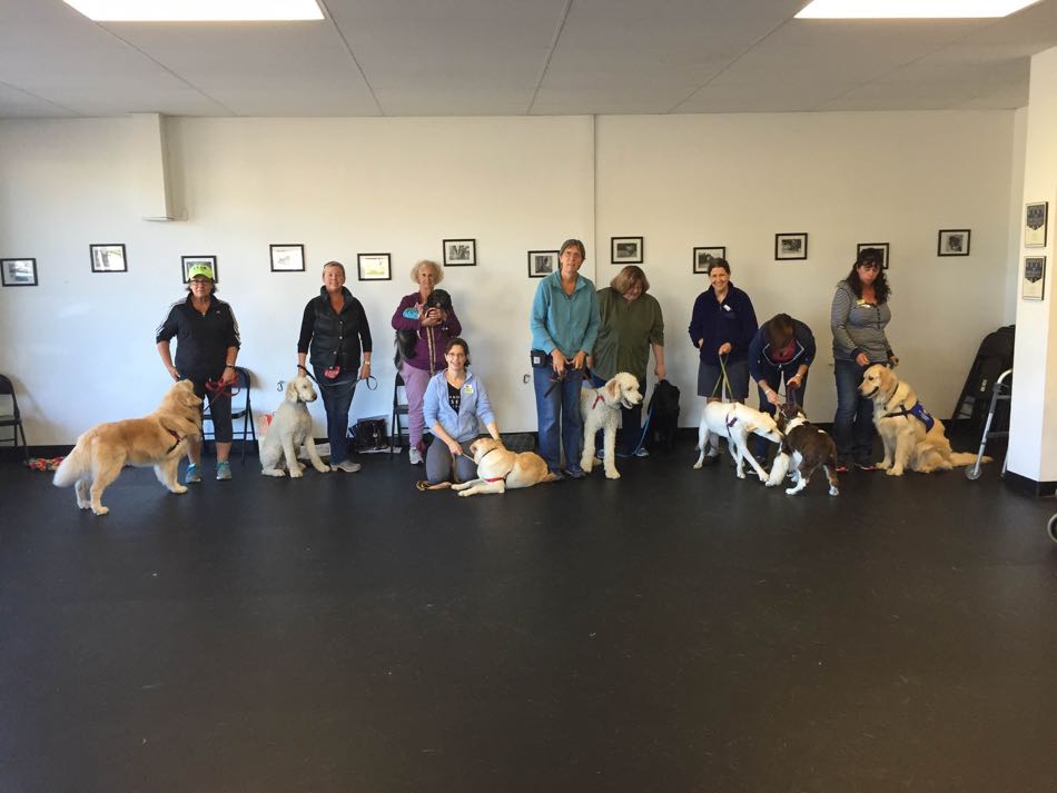 Bright Spot Therapy Dog Training is completed for nine participating teams in the September course.