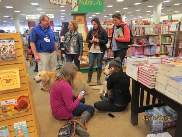 Volunteer talks with shoppers while they pet his two Golden Retrievers wearing blue therapy dog vests