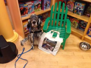 Lily an English Setter sits waiting for her first child to come and read a story to her