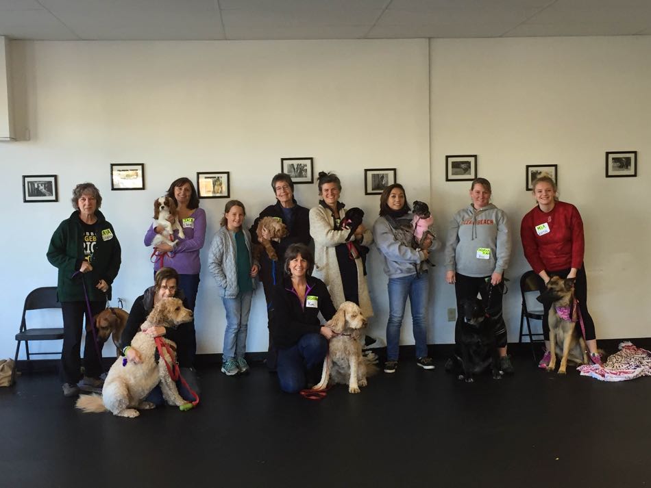 eight dogs and their handlers pose for a class photo