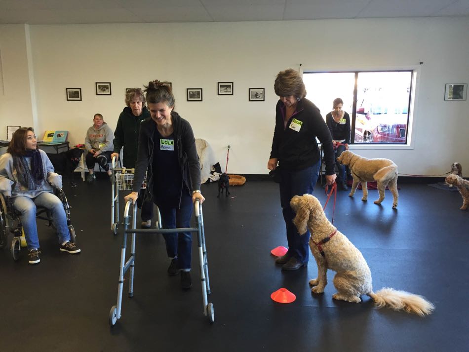 dog and handler greet person with walker