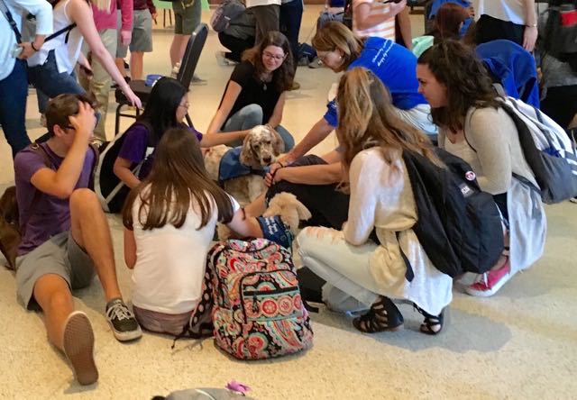 English Setter King surrounded by students petting him