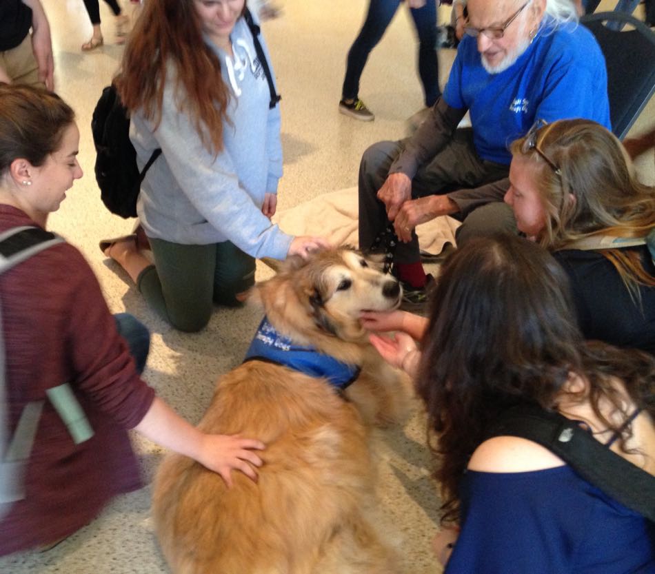 Golden Retriever Calvin sits on the floor surrounded by students