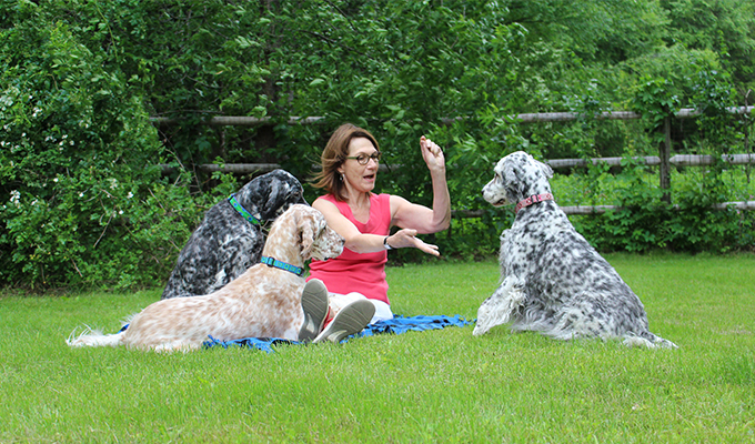 Cynthia Hinckley with three Bright Spot Therapy Dogs