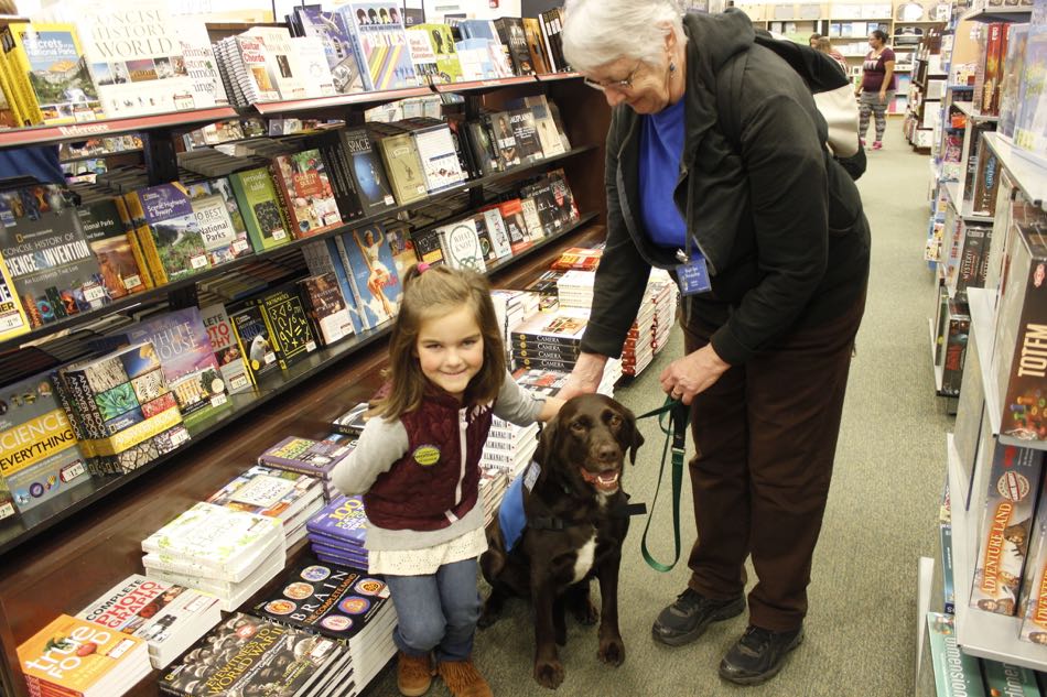 chocolate lab-mix Jake loves attention from young shopper petting him