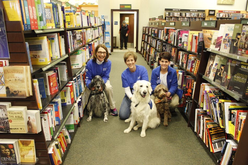 blue belton english setter lily, white golden retriever finn, and labradoodle Cadence pose with the handlers