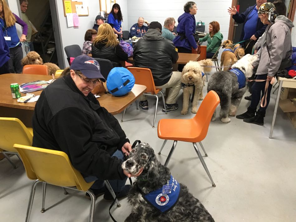 Blue Belton English Setter Lily sits with a female bus driver while other dogs visit bus drivers seated at tables