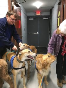 Max and Milo are tan-colored Greyhounds. Their handler is holding their leashes and talking with one of the bus drivers