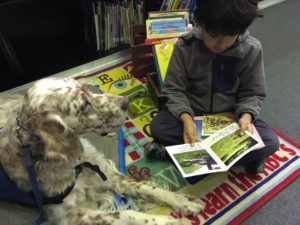 King, an orange belton English Setter, sits facing the boy who sits next to him on the floor reading a story to him.