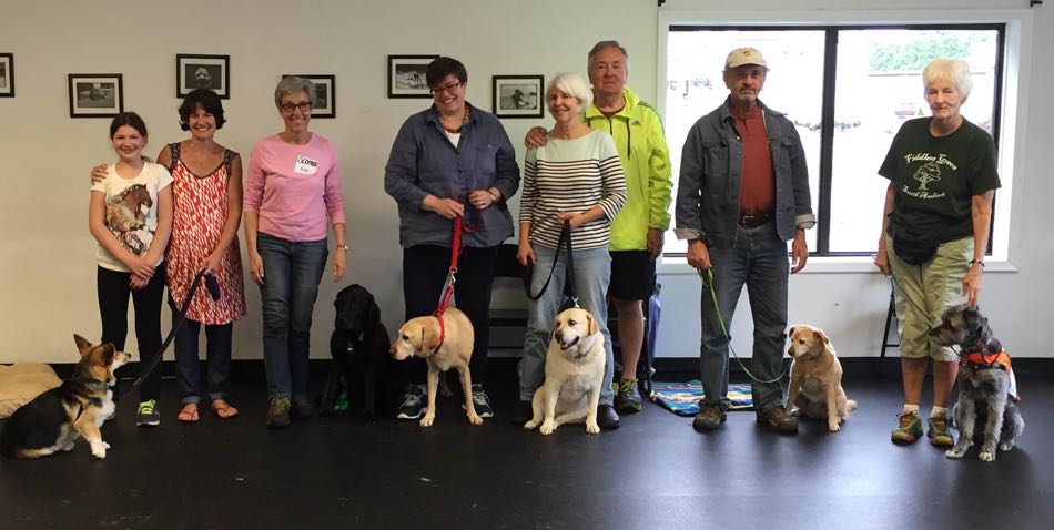 handlers and dogs stand in a line to have their photo taking after graduating from the course.