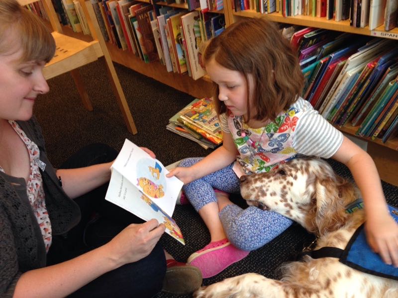 King, an Orange Belton English Setter rests his head on a young girl's leg as she reads a story.