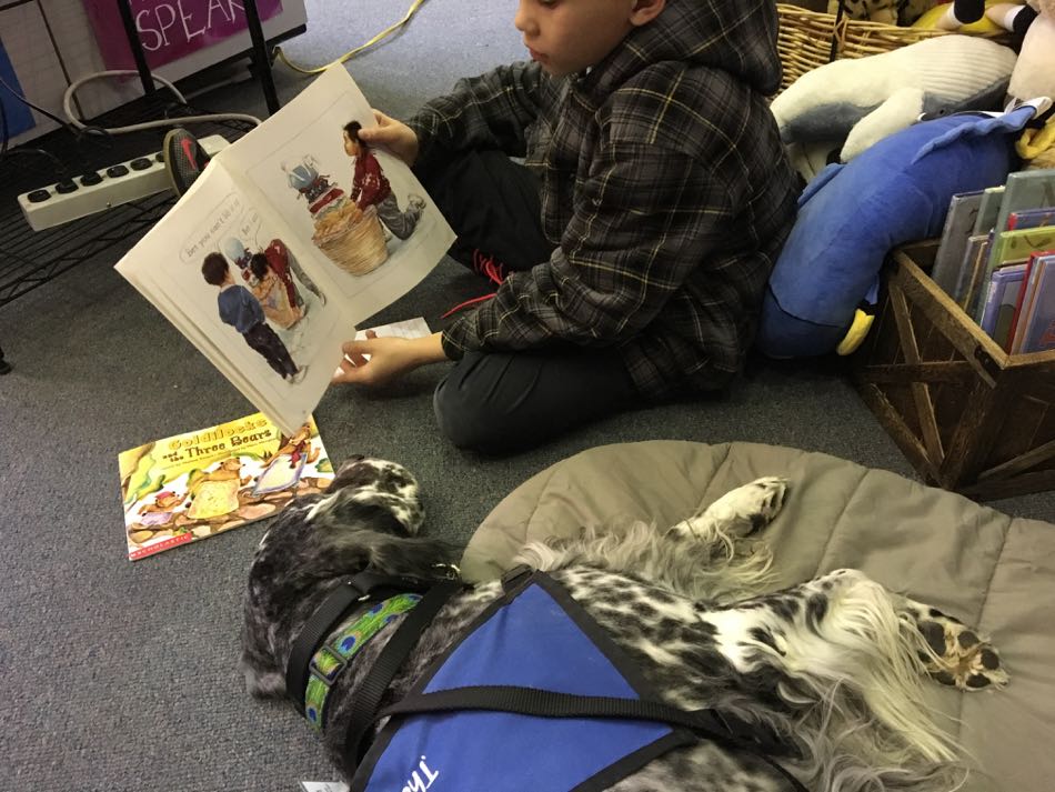 Bright Spot Lily, a reading buddy dog, lies on her bed and listens to the boy read a story