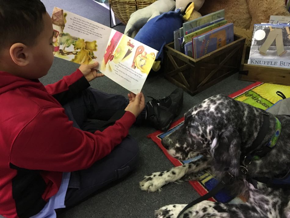 boy wearing red shirt holds book as he reads to Lily, a Reading Buddy Dog.