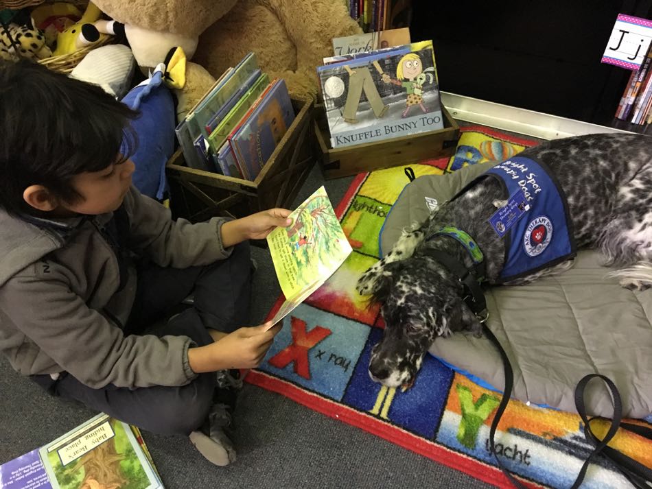 boy, wearing a tan fleece top, reads book to Lily, a blue Belton English Setter