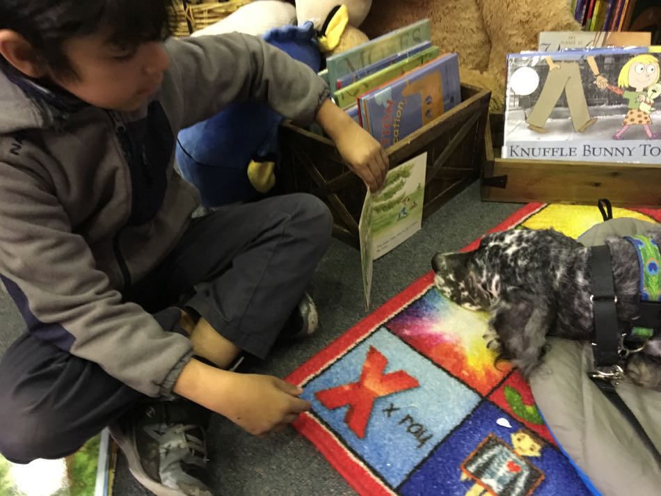 boy wearing a tan fleece top shows pictures to Lily, the reading buddy, as he reads aloud