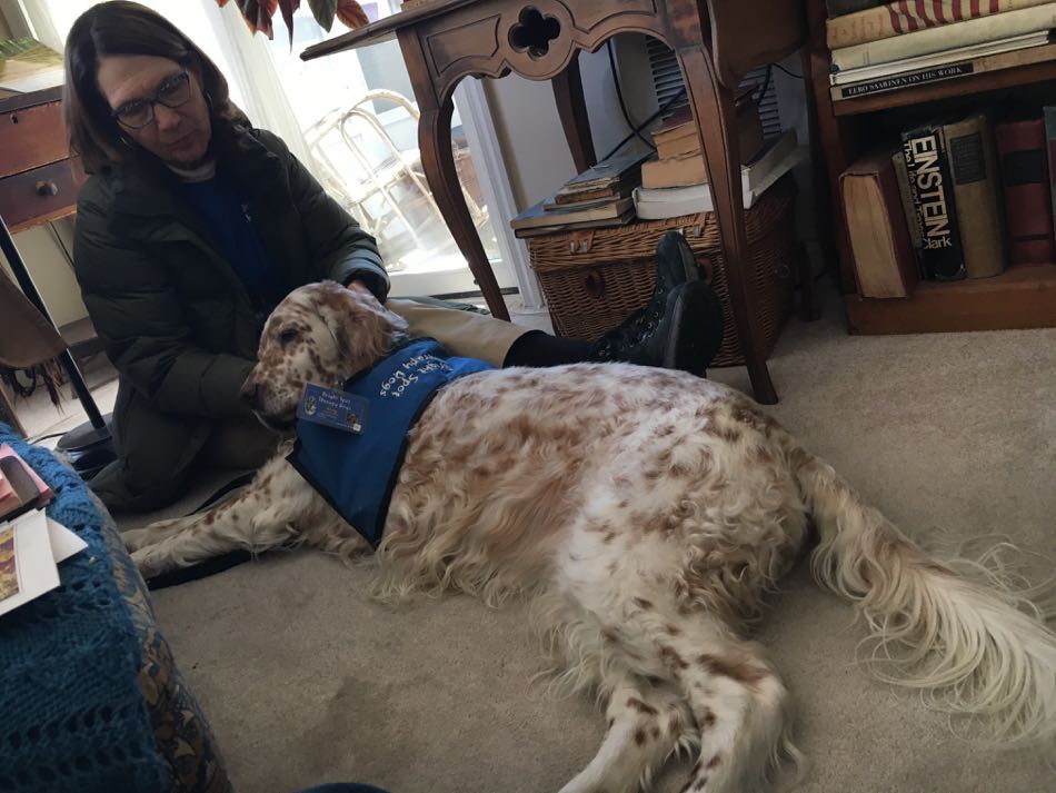 King, an orange Belton English Setting wearing a blue Bright Spot Therapy Dog vest lies next to his handler on the floor right next to the hospice patient in her chair