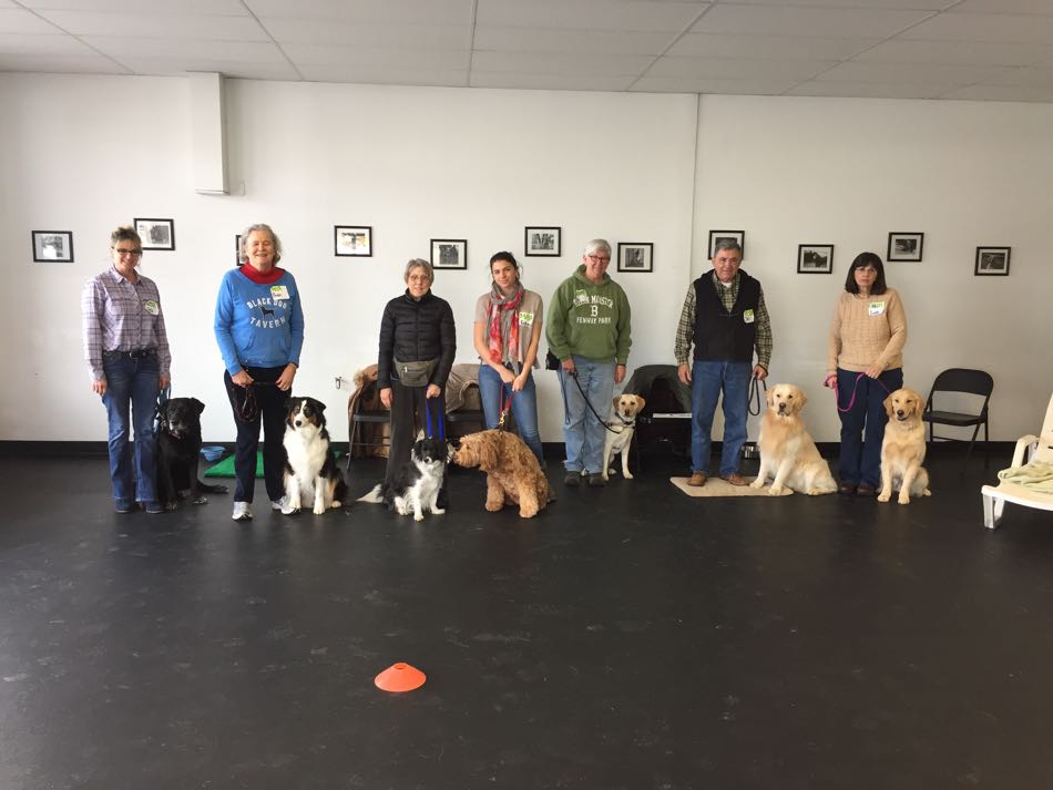 Handlers and dogs that participated in our March Therapy Dog Team Training Class line up for a group photo