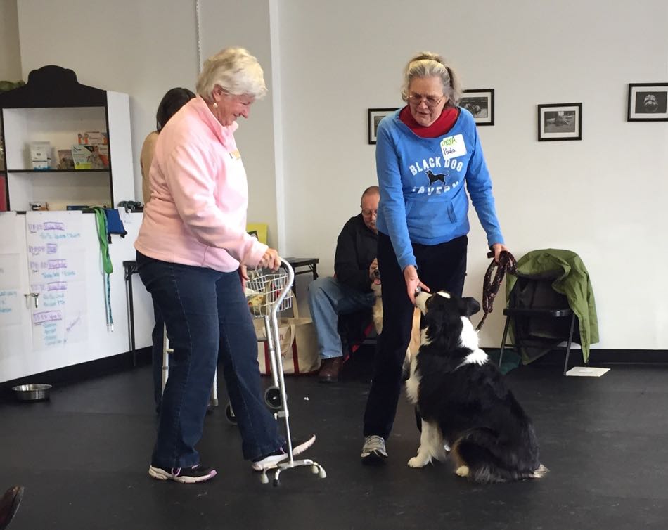 Two class participants and a black and white Border Collie practice in class.