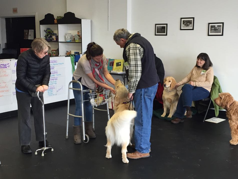 a woman sitting in a wheelchair is approached by a man and a tan-colored dog