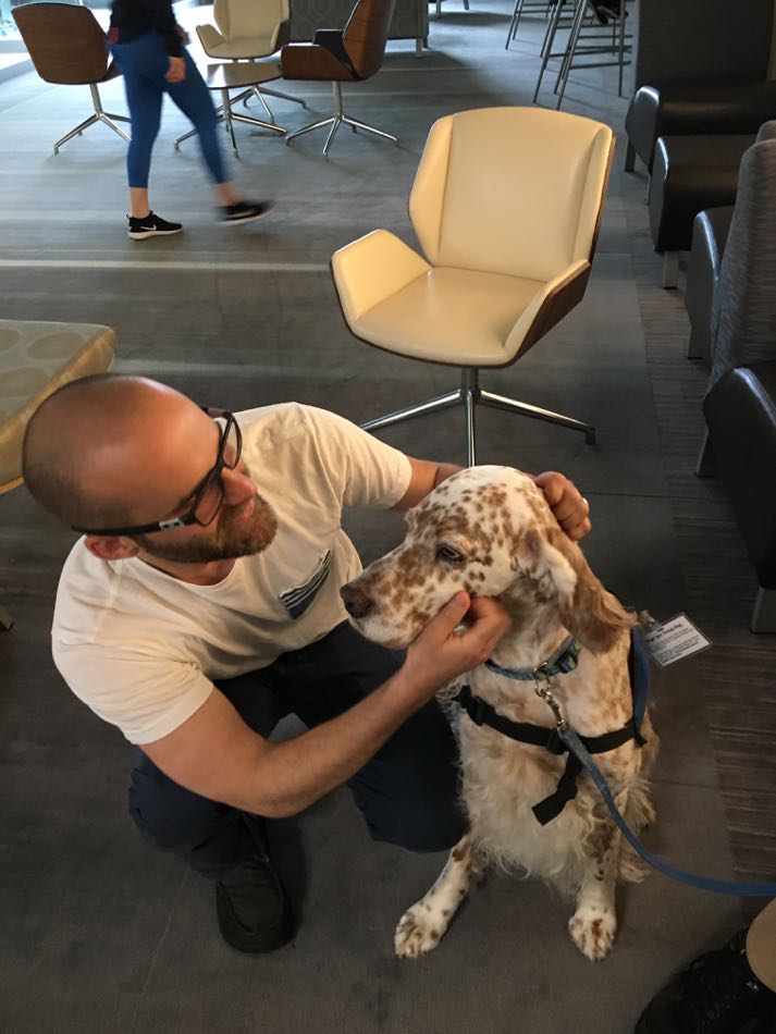 A male student sit next to English Setter King and pets his head.