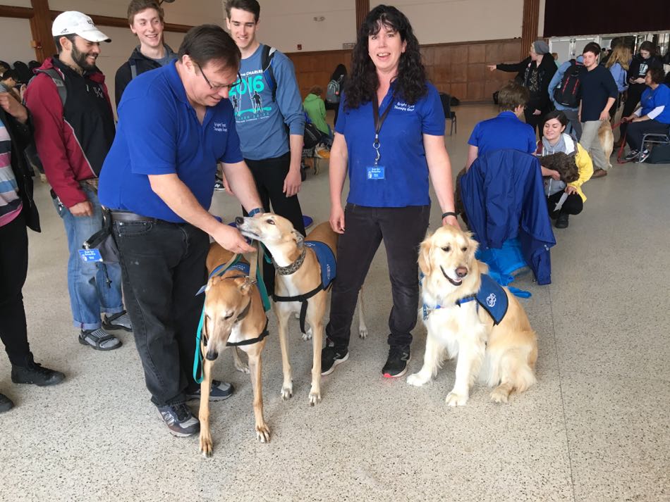 Three male students pose with Bright Spot Therapy Dogs and their teammates in the UMass student union ballroom