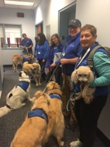 several dogs wearing Bright Spot Therapy Dog vests gather in preparation to the start of the event