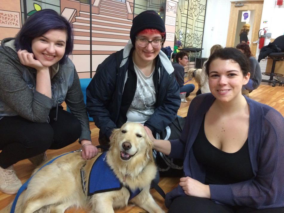 Bright Spot Zoe, a Golden Retriever, lies on the floor surrounded by three female students who are petting her soft fur