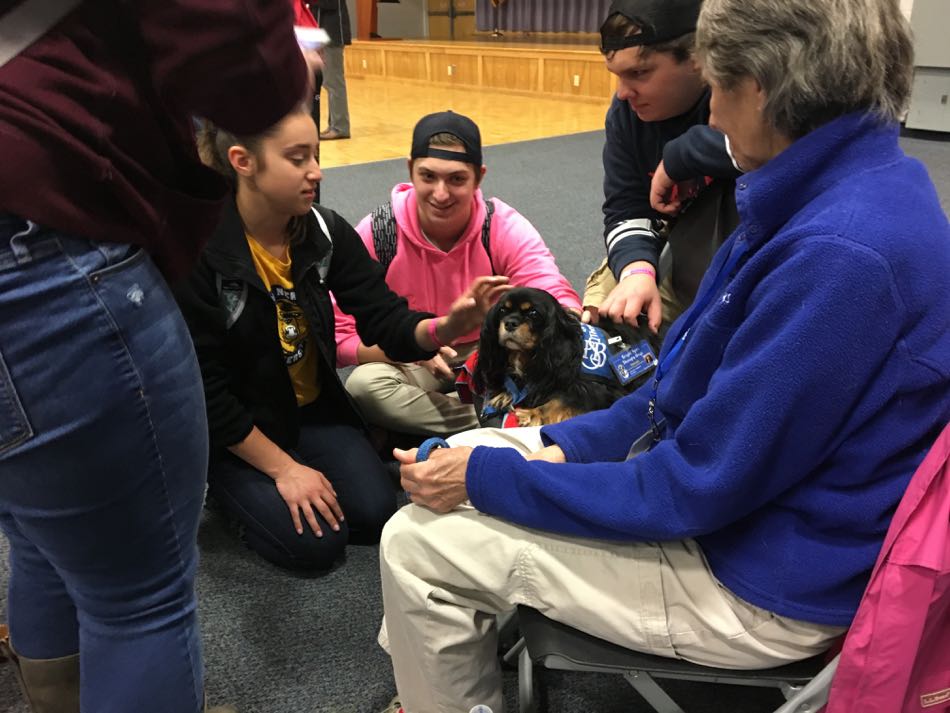 Velvet, a black and tan Cavalier King Charles Spaniel sits with her teammate while students stop by to pet her.