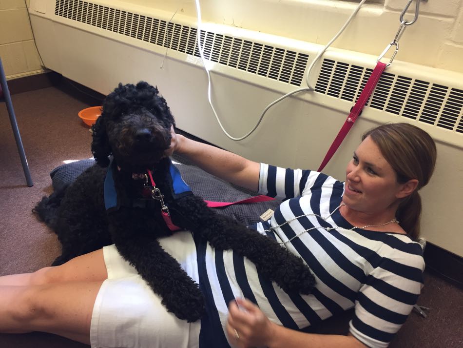 Bright Spot Therapy Dog Betty lies on the floor next to staff member who is petting her on the head.