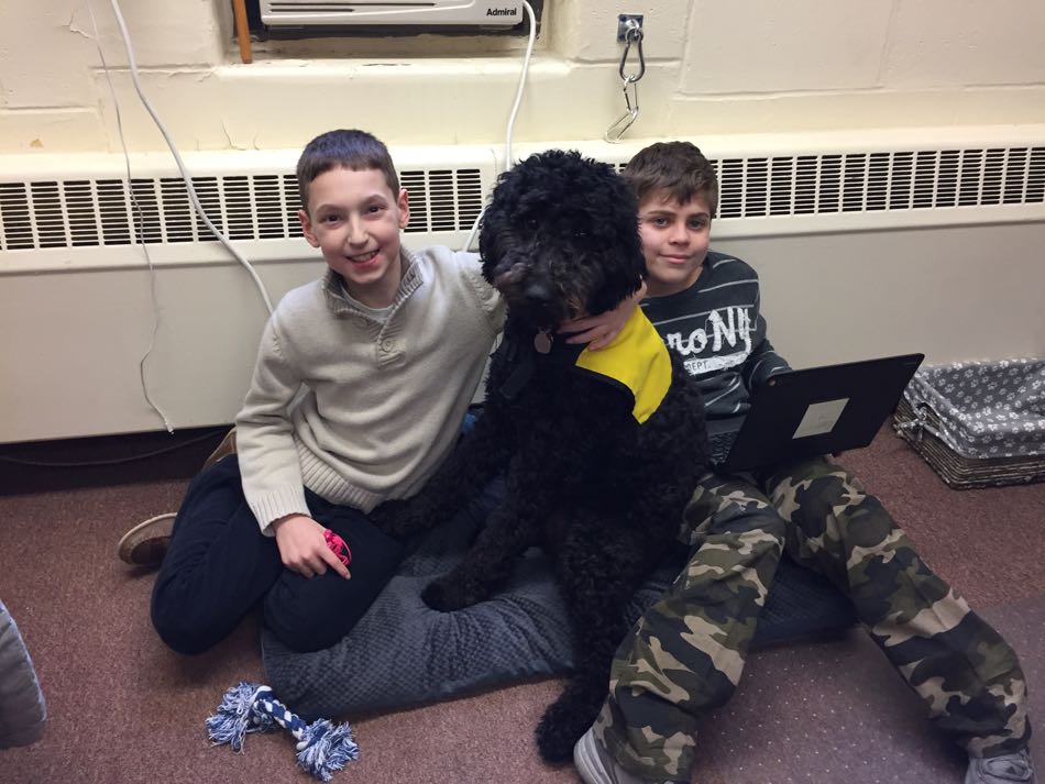 Betty a black labradoodle wearing a yellow training vest sits between two male students all sharing a dog bed on the floor.