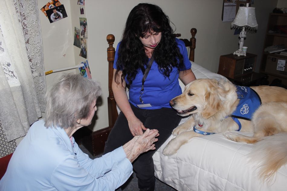 Bright Spot Therapy Dog Comet lies down on his friend's bed with his teammate Nancy Ronan sitting next to him while the resident sits across from them in a chair talking to Comet