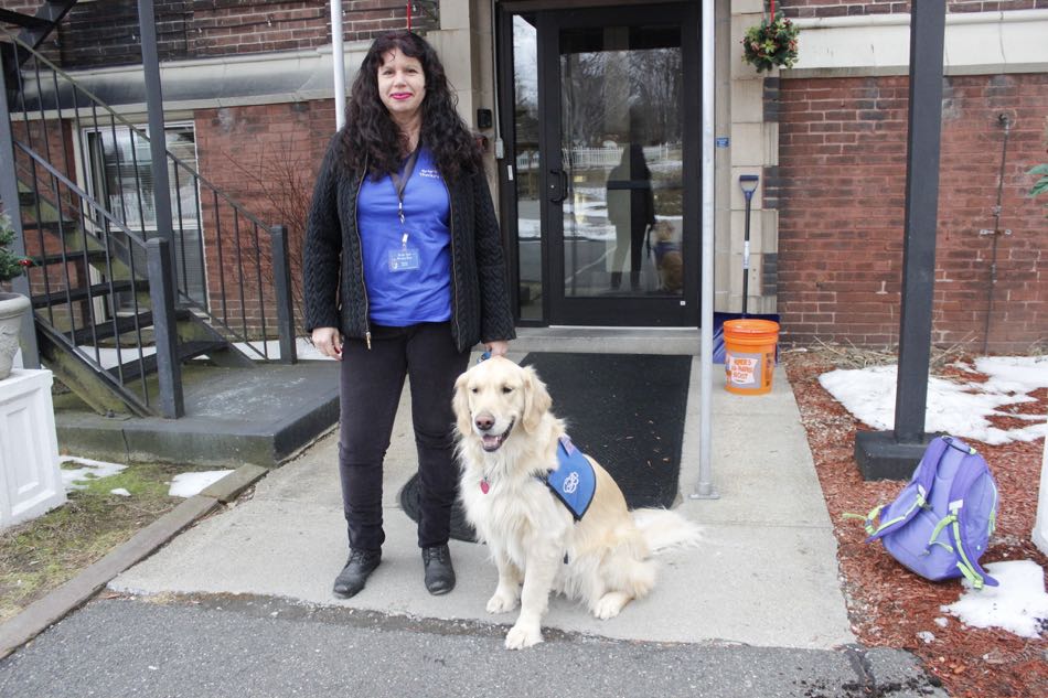 Golden Retriever Comet stands at the doorway of the nursing home with his teammate Nancy Ronan.