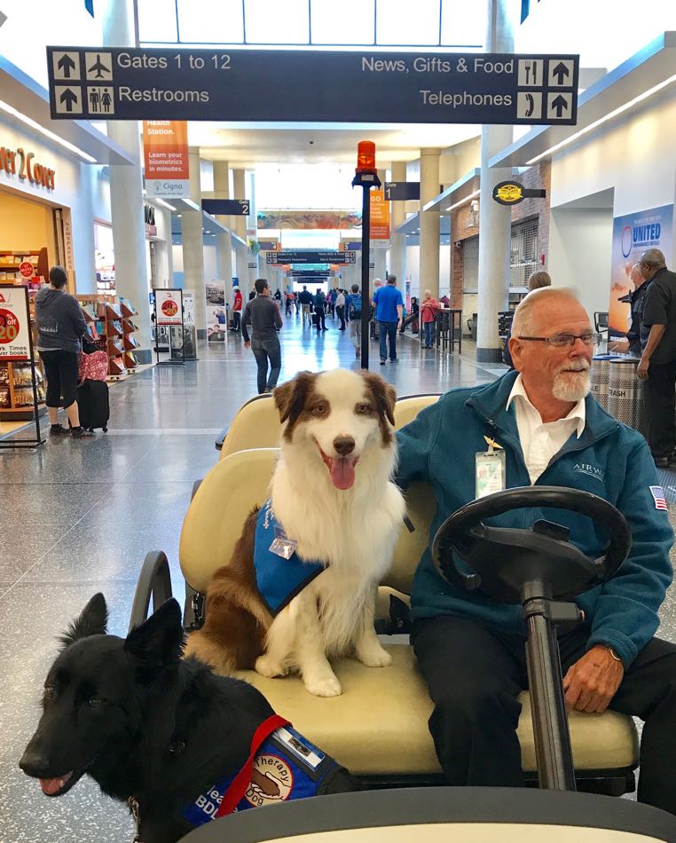 dogs Raven and James ride in a transport vehicle driven by a staff member