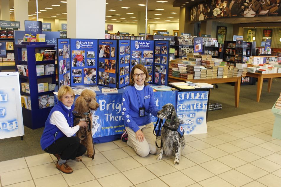 two Bright Spot Therapy Dog volunteers and their dogs pose in front of the Bright Spot Therapy Dogs Information booth