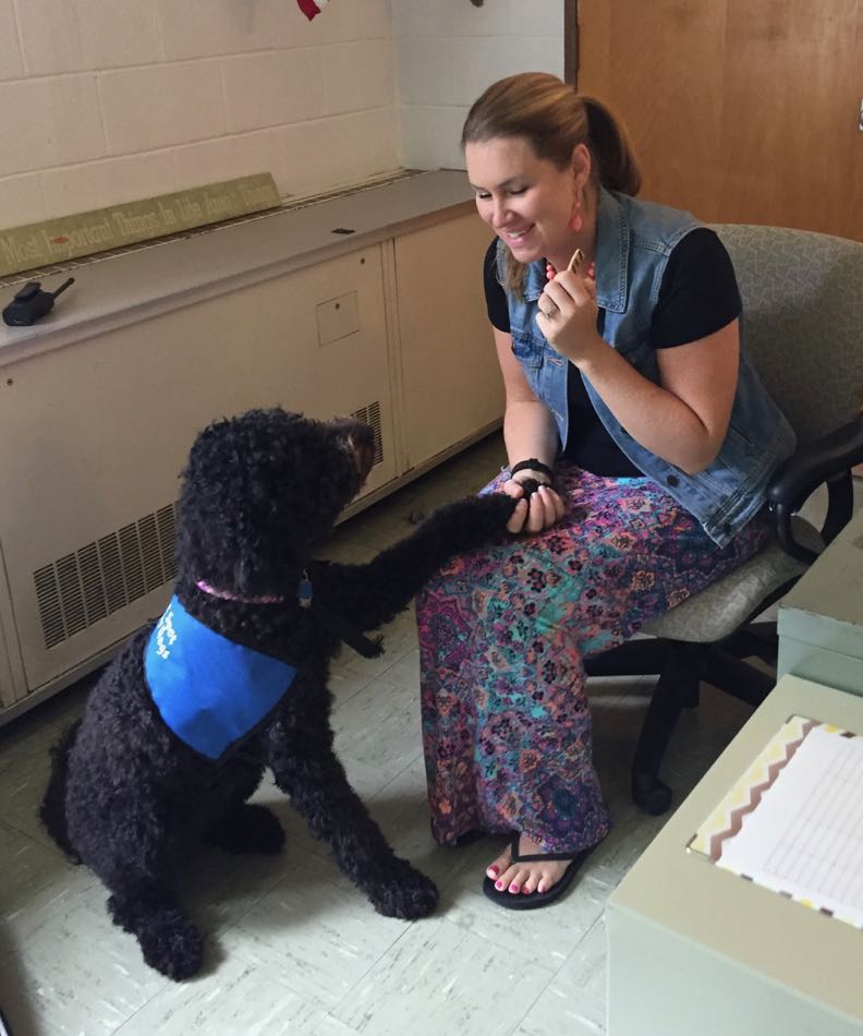 Betty, a black labradoodle, wears a blue Bright Spot Therapy Dog vest and shakes paws with the behavior specialist