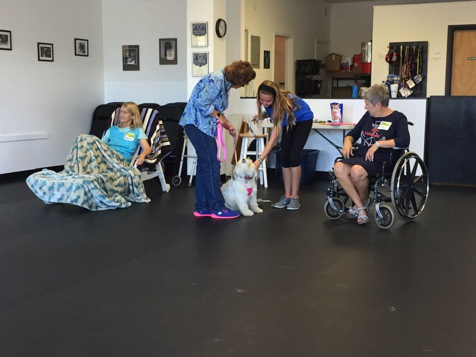 small dog and his owner greet a woman using a walker